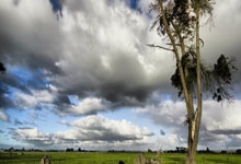 莫兰特惊艳全场，球队未来可期助攻爆棚，迎来胜利逆转取胜！